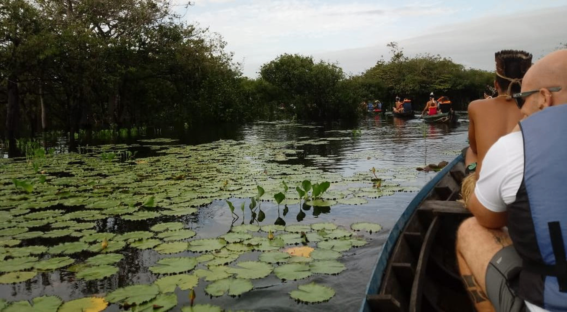 Árvore gigante na floresta amazônica